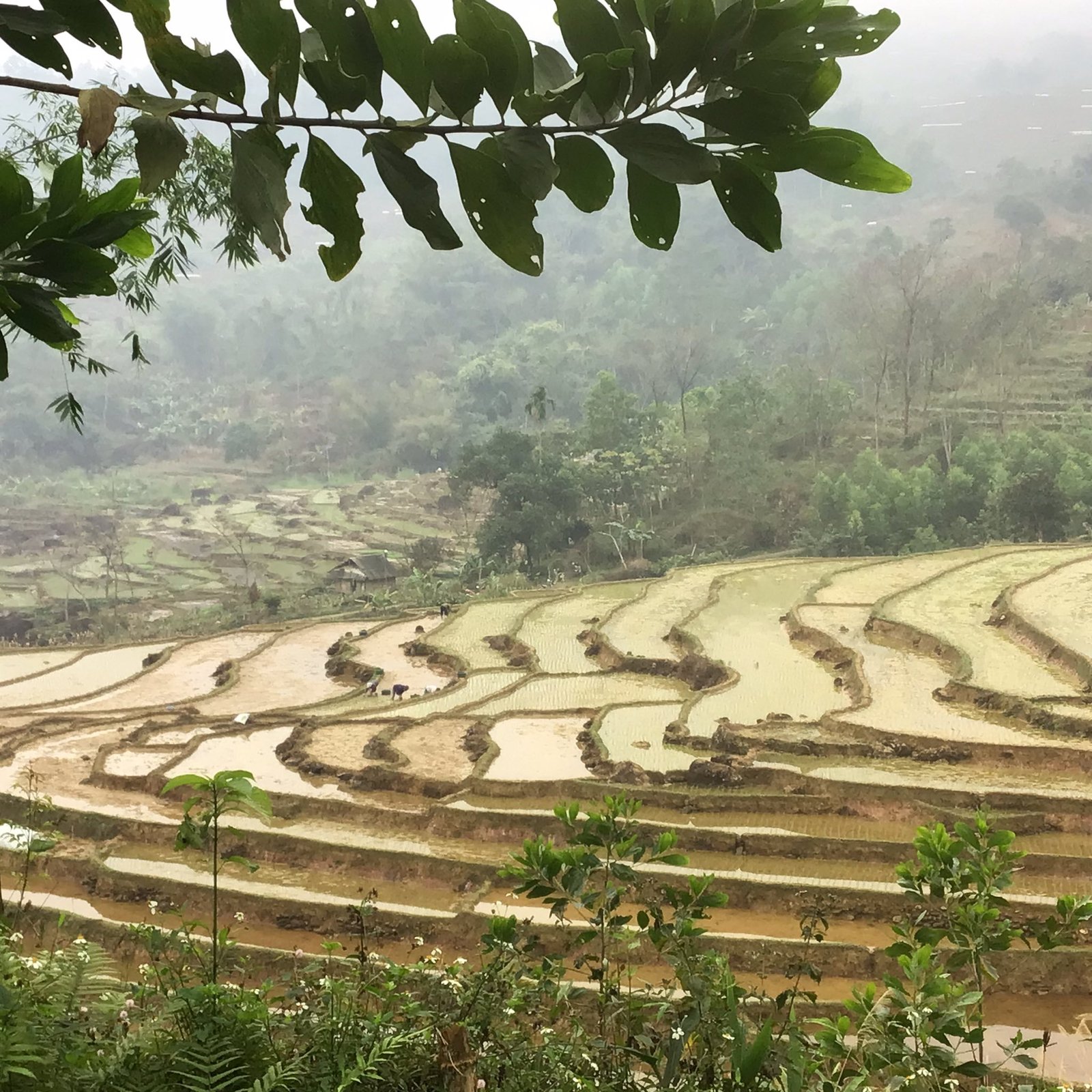 E-Bike Cycling Tour: Hanoi - Ba Be - Ha Giang 7 Days